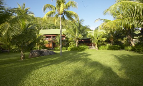 Paradise Sun